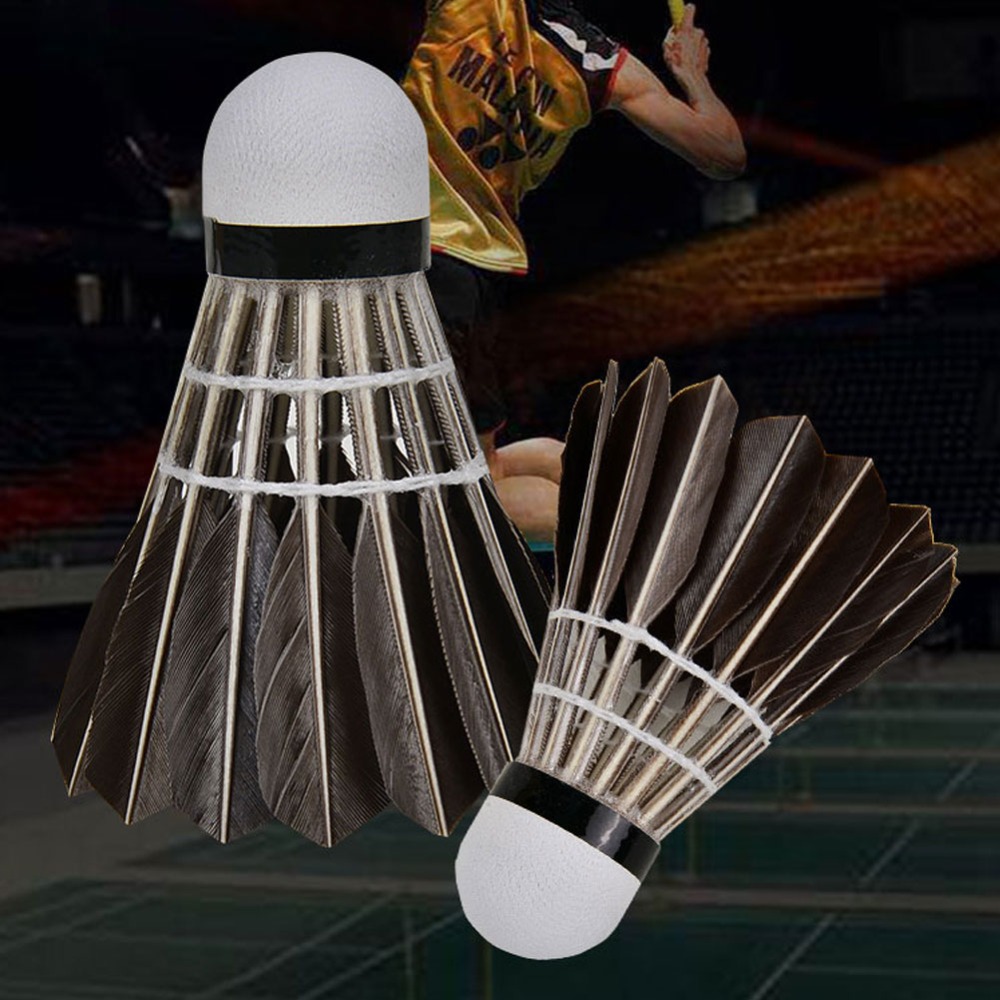 3/6/12 Pezzi Volani da Badmint - Badminton House recensione e prezzo