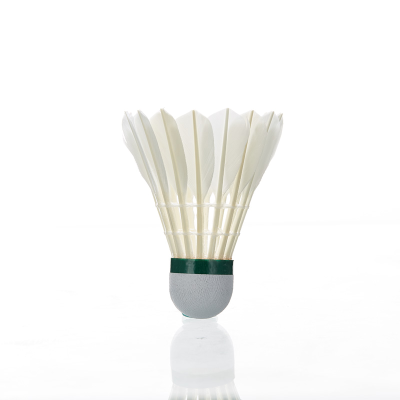 Kawasaki Feather volano 8E Pro - Badminton Raket recensione e prezzo