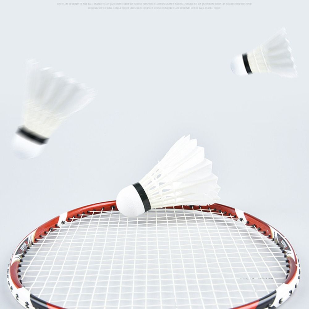 3/6/12 Pezzi Nuovi Volani da B - Badminton House recensione e prezzo