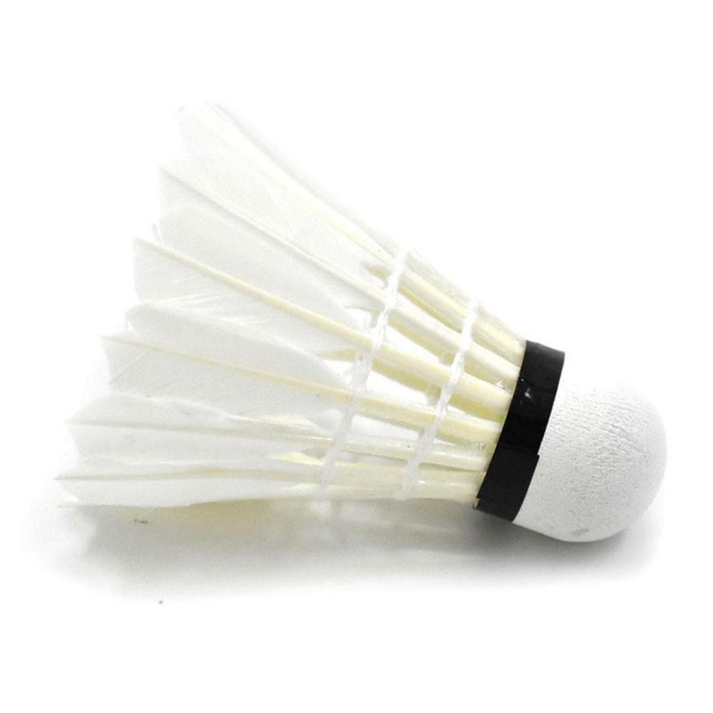 3/6/12 Pz Nuovo Volano Da Badm - Badminton House recensione e prezzo