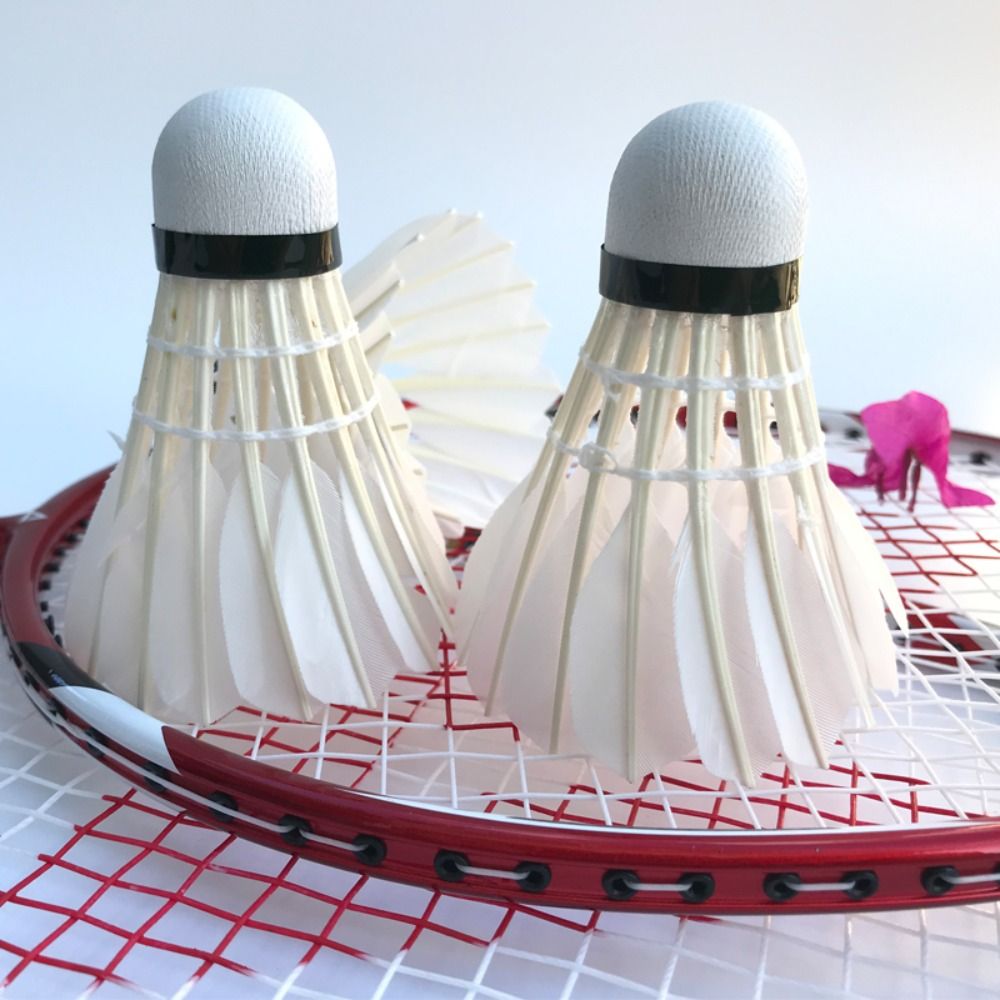 3/6/12 Pz Nuovo Volano Da Badm - Badminton House recensione e prezzo