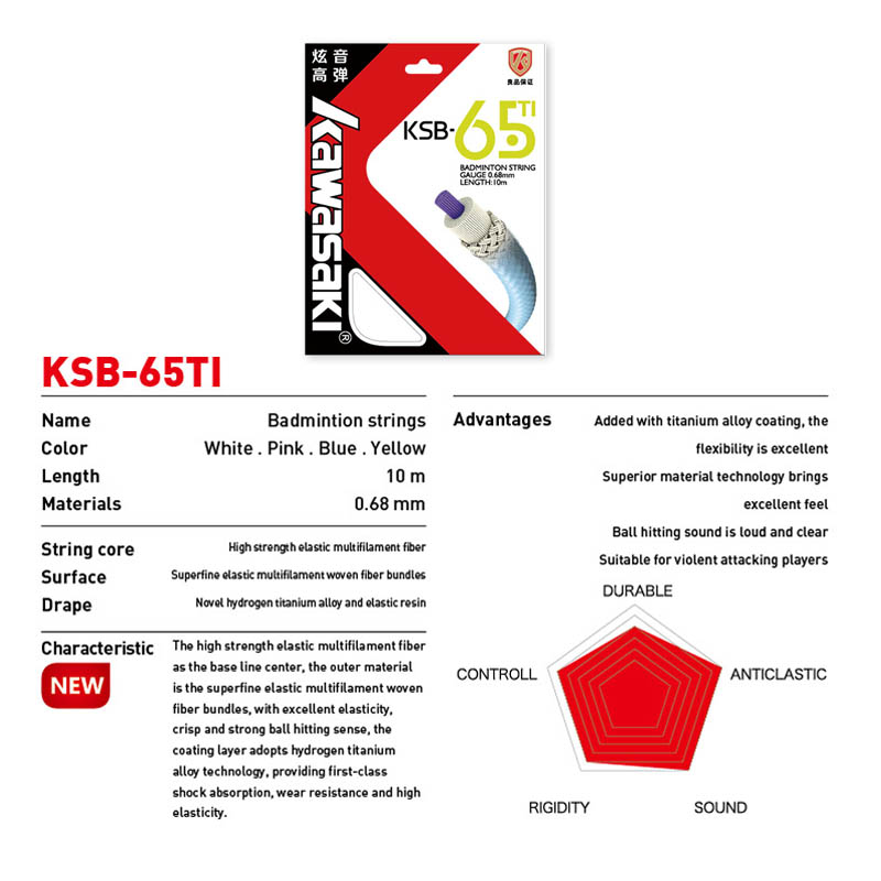 Accessori per la linea di badm - Badminton Raket recensione e prezzo