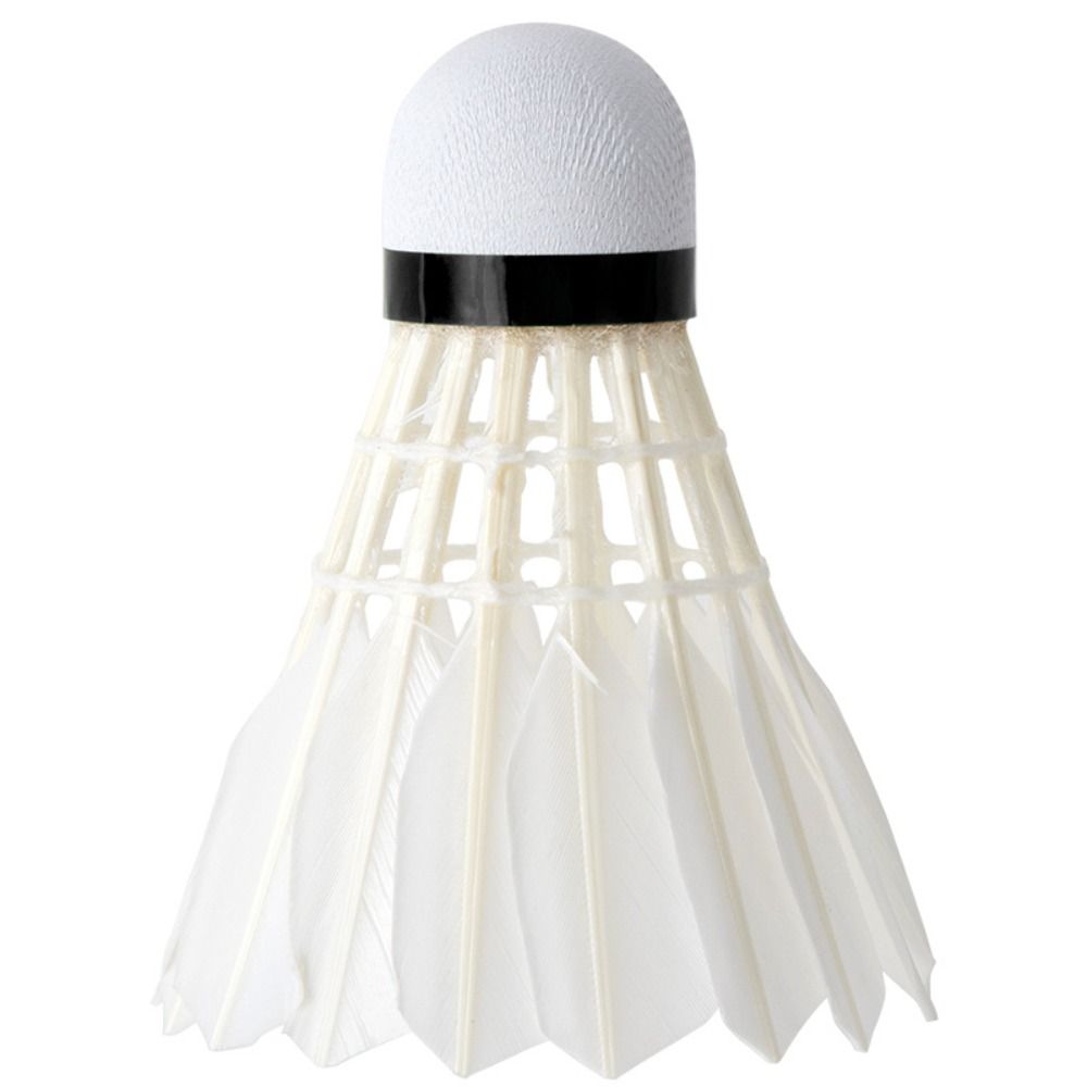 Nuovo Volano da Badminton in P - Badminton House recensione e prezzo